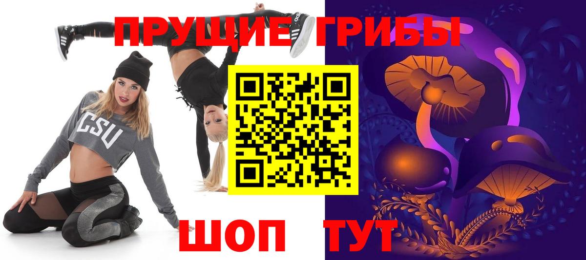 Димитровград  Галлюциногенные грибы мицелий  Вход с VPN  Галлюциногенные грибы прущие грибы 
